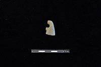 藏品(磨製石器)的圖片